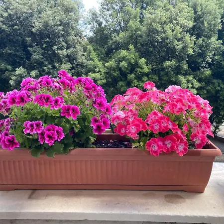 Casa Blu Testaccio * Róma