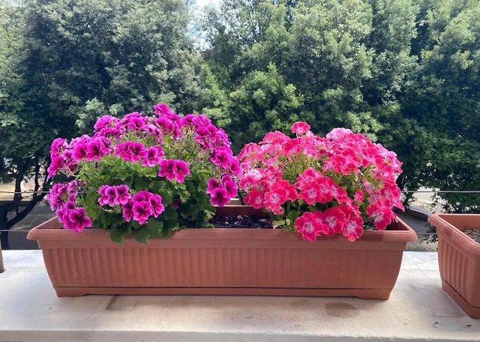 Casa Blu Testaccio * Rome